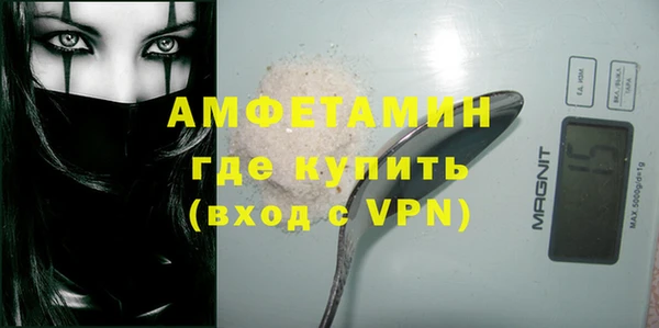 хмурый Алексин