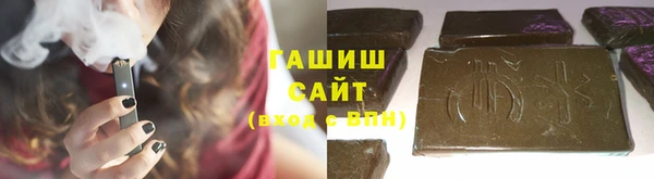 хмурый Алексин