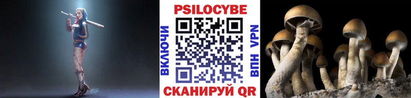 Псилоцибиновые грибы MAGIC MUSHROOMS  mega ссылка  Десногорск  где купить наркотик 